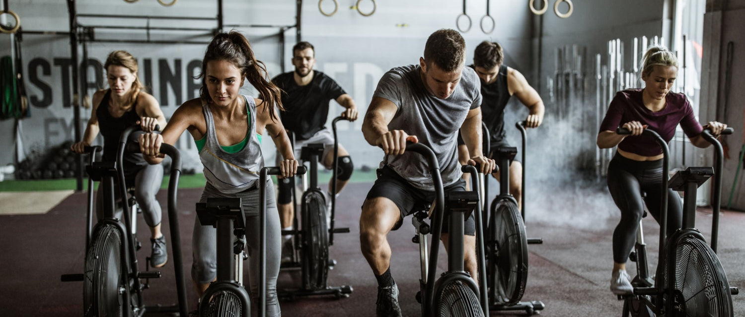 Elevate Your Fitness Journey with Empire Vault™ : Your Ultimate Guide to Gym Gear and Workouts